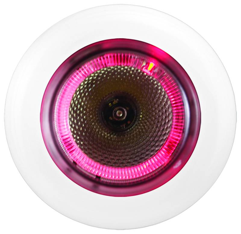 Hella - Hella Dome Light 343980007