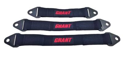 Axles & Components - Axle Limit Straps - Grant - Grant Limit Strap 8610