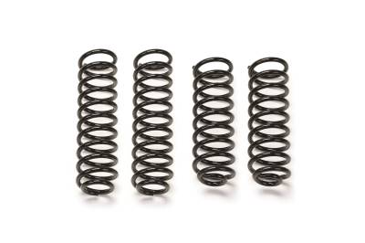 Fabtech Coil Spring Kit FTS24161