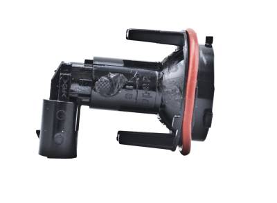 Hella - Hella Bulb 153746011 - Image 6