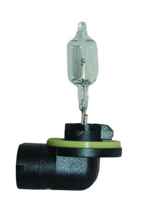 Hella - Hella 889 Halogen Bulb 889 - Image 2