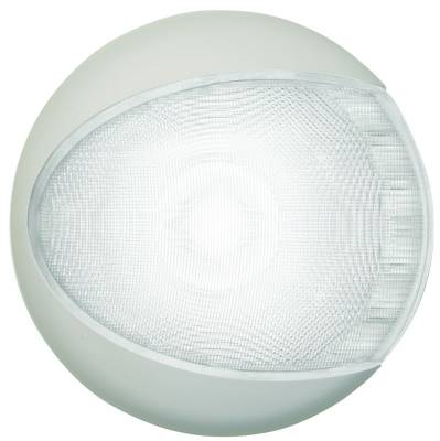 Hella - Hella Dome Light 959820521 - Image 1