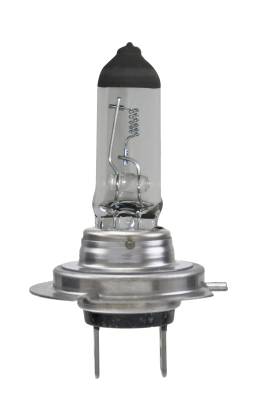 Hella - Hella H7 24V Halogen Bulb H7 24V - Image 2