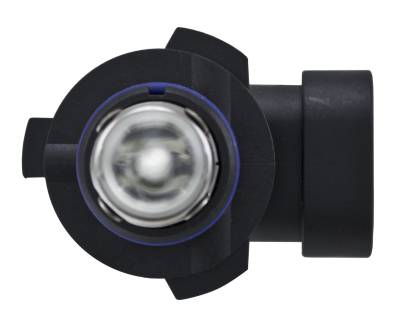 Hella - Hella 9005 Halogen Bulb H83300082 - Image 6