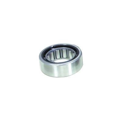 Yukon Gear Conversion bearing for small bearing Ford 9" axle in large bearing housing.  YB F9-CONV