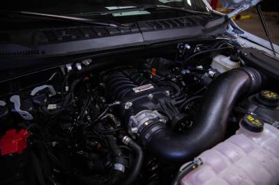 Roush Performance 2017-2019 ROUSH F-150 Raptor Cat-Back Exhaust Kit 422107